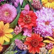 ヒメ日記 2025/08/04 17:26 投稿 にな 横浜人妻セレブリティ（ユメオト）