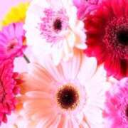 ヒメ日記 2025/10/10 11:20 投稿 にな 横浜人妻セレブリティ（ユメオト）