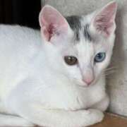 ヒメ日記 2026/02/13 12:21 投稿 なお ドMバスターズ 京都店