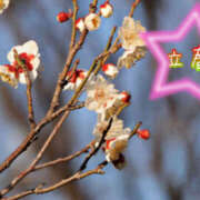 ヒメ日記 2025/02/03 14:56 投稿 名取良子 五十路マダム愛されたい熟女たち 倉敷店（カサブランカグループ）