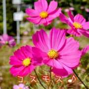 ヒメ日記 2025/09/01 15:34 投稿 名取良子 五十路マダム愛されたい熟女たち 倉敷店（カサブランカグループ）