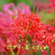 ヒメ日記 2025/09/03 01:30 投稿 名取良子 五十路マダム愛されたい熟女たち 倉敷店（カサブランカグループ）