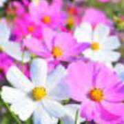 ヒメ日記 2025/09/30 23:28 投稿 名取良子 五十路マダム愛されたい熟女たち 倉敷店（カサブランカグループ）