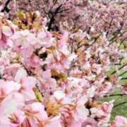 ヒメ日記 2026/03/09 00:14 投稿 名取良子 五十路マダム愛されたい熟女たち 倉敷店（カサブランカグループ）