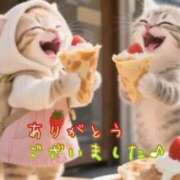ヒメ日記 2026/05/11 15:54 投稿 名取良子 五十路マダム愛されたい熟女たち 倉敷店（カサブランカグループ）