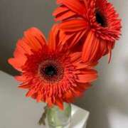 ヒメ日記 2026/01/05 20:20 投稿 東雲千颯 札幌ソフィア