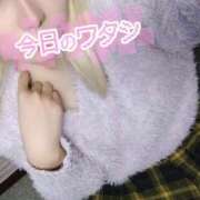 ヒメ日記 2025/02/20 10:29 投稿 桜ヶ丘かなた 手コキ研修塾