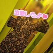 ヒメ日記 2025/03/27 15:29 投稿 桜ヶ丘かなた 手コキ研修塾