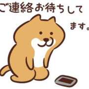 ヒメ日記 2025/04/03 19:23 投稿 あかり 奴隷コレクション梅田店