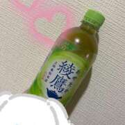 ヒメ日記 2025/02/24 19:15 投稿 そら ぽちゃ巨乳専門　新大久保・新宿歌舞伎町ちゃんこ