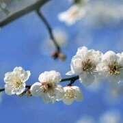 ヒメ日記 2026/02/04 08:15 投稿 あきほ 大阪ミナミ人妻援護会