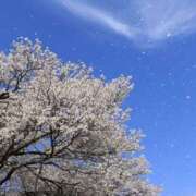 ヒメ日記 2026/03/21 14:38 投稿 あきほ 大阪ミナミ人妻援護会