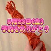 ヒメ日記 2025/05/18 11:22 投稿 よしこ 大阪堺人妻援護会