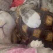 ヒメ日記 2025/05/25 11:17 投稿 よしこ 大阪堺人妻援護会