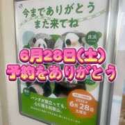 ヒメ日記 2025/06/23 00:02 投稿 よしこ 大阪堺人妻援護会