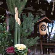 ヒメ日記 2026/01/01 11:52 投稿 あきほ 大阪堺人妻援護会