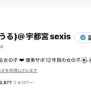 ヒメ日記 2024/09/20 17:02 投稿 はうる SEXIS-セクシーズ-