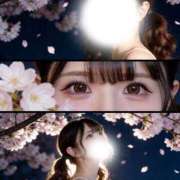 ヒメ日記 2026/04/28 16:05 投稿 はうる SEXIS-セクシーズ-