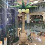 ヒメ日記 2025/11/19 19:40 投稿 そう One More奥様　横浜関内店