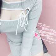 ヒメ日記 2024/12/15 07:30 投稿 らむ かりんと神田