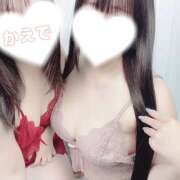 ヒメ日記 2025/06/18 07:50 投稿 らむ かりんと神田