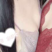 ヒメ日記 2025/06/27 08:07 投稿 らむ かりんと神田