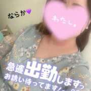 ヒメ日記 2024/07/31 11:00 投稿 ならか ぽちゃ巨乳専門　新大久保・新宿歌舞伎町ちゃんこ