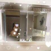 ヒメ日記 2025/06/19 08:12 投稿 ありす Bijou R