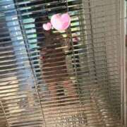 ヒメ日記 2025/09/10 23:54 投稿 ありす Bijou R