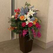 ヒメ日記 2026/01/23 12:33 投稿 ありす Bijou R