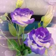 ヒメ日記 2026/03/12 07:03 投稿 ありす Bijou R