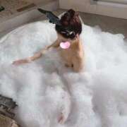 ヒメ日記 2026/03/30 21:48 投稿 ありす Bijou R