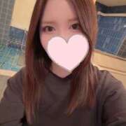 高梨　りさ 🐶 Amateras～アマテラス～