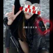 ヒメ日記 2024/12/24 22:12 投稿 えりか（Mドグマ） 妄想M男キラーエムドグマ・Sドグマ