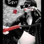 ヒメ日記 2025/03/12 12:22 投稿 えりか（Mドグマ） 妄想M男キラーエムドグマ・Sドグマ