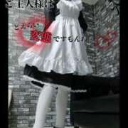 ヒメ日記 2025/03/15 10:33 投稿 えりか（Mドグマ） 妄想M男キラーエムドグマ・Sドグマ