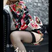 ヒメ日記 2025/04/16 08:21 投稿 えりか（Mドグマ） 妄想M男キラーエムドグマ・Sドグマ