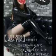 ヒメ日記 2025/05/24 09:31 投稿 えりか（Mドグマ） 妄想M男キラーエムドグマ・Sドグマ