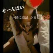 ヒメ日記 2025/05/28 13:46 投稿 えりか（Mドグマ） 妄想M男キラーエムドグマ・Sドグマ