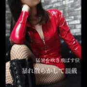 ヒメ日記 2025/06/21 09:27 投稿 えりか（Mドグマ） 妄想M男キラーエムドグマ・Sドグマ