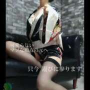 ヒメ日記 2025/07/05 08:23 投稿 えりか（Mドグマ） 妄想M男キラーエムドグマ・Sドグマ