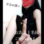 ヒメ日記 2025/07/23 14:37 投稿 えりか（Mドグマ） 妄想M男キラーエムドグマ・Sドグマ