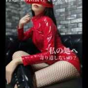 ヒメ日記 2025/07/26 10:00 投稿 えりか（Mドグマ） 妄想M男キラーエムドグマ・Sドグマ