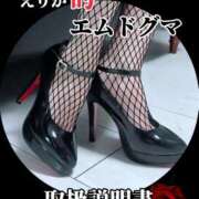 ヒメ日記 2025/09/01 03:27 投稿 えりか（Mドグマ） 妄想M男キラーエムドグマ・Sドグマ