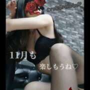 ヒメ日記 2025/11/07 09:00 投稿 えりか（Mドグマ） 妄想M男キラーエムドグマ・Sドグマ