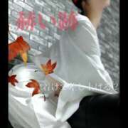 ヒメ日記 2025/11/10 10:09 投稿 えりか（Mドグマ） 妄想M男キラーエムドグマ・Sドグマ