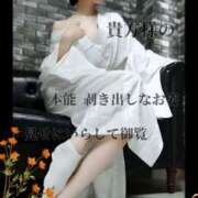 ヒメ日記 2025/11/30 09:00 投稿 えりか（Mドグマ） 妄想M男キラーエムドグマ・Sドグマ