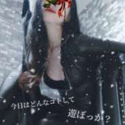 ヒメ日記 2025/12/10 09:10 投稿 えりか（Mドグマ） 妄想M男キラーエムドグマ・Sドグマ