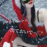 ヒメ日記 2025/12/13 09:48 投稿 えりか（Mドグマ） 妄想M男キラーエムドグマ・Sドグマ