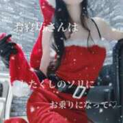 ヒメ日記 2025/12/19 09:30 投稿 えりか（Mドグマ） 妄想M男キラーエムドグマ・Sドグマ